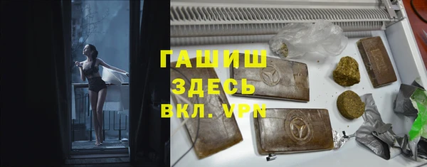 гидра Рославль