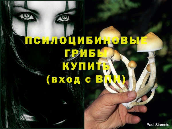 дживик Абинск