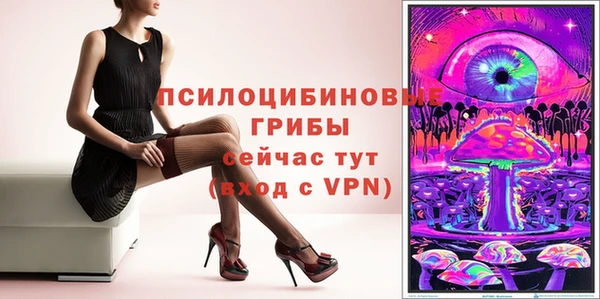 дживик Абинск