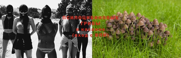 прущая мука Губаха