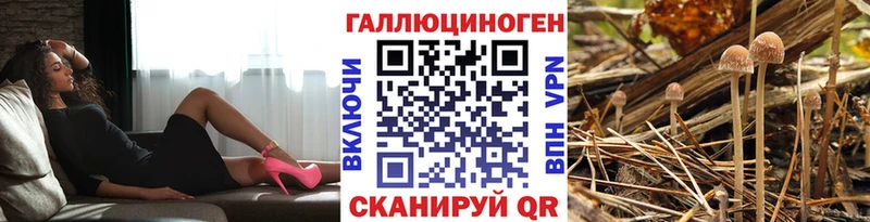 наркотики  kraken ССЫЛКА  Галлюциногенные грибы GOLDEN TEACHER  Белоусово 